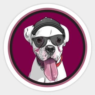 Cool White Boxer! Especially for Boxer dog owners! Sticker